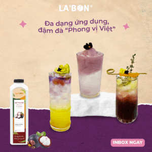 Top 5 công thức trà măng cụt hot trend