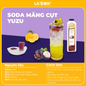 TRÀ MĂNG CỤT HOT TREND_SODA MĂNG CỤT YUZU