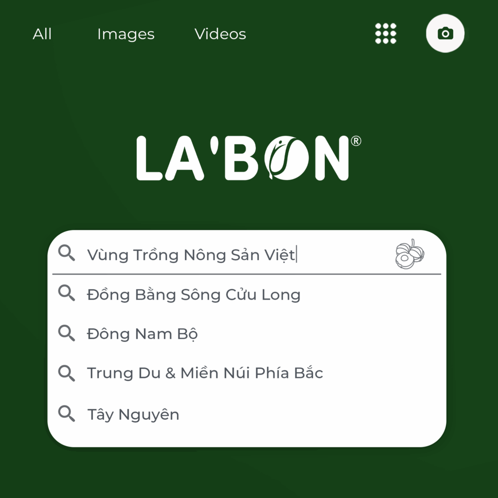 Vùng trồng các loại trái cây nông sản Việt