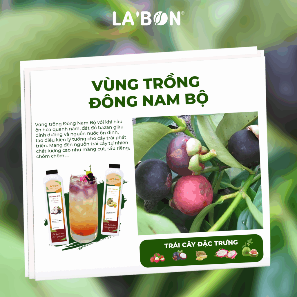 Vùng trồng trái cây nông sản Việt_Đông Nam Bộ