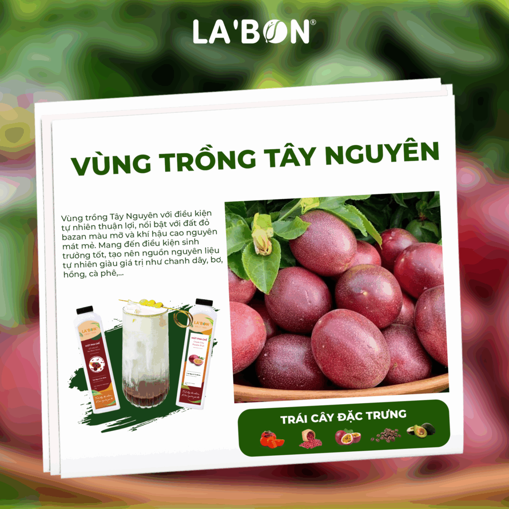 Vùng trồng trái cây nông sản Việt_Tây Nguyên