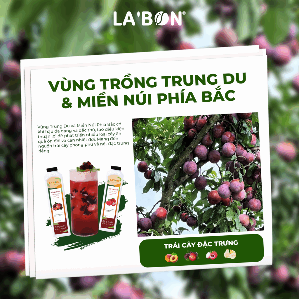 Vùng trồng nông sản Việt_Trung du & miền núi phía Bắc
